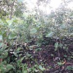 Finca Monte Santo
