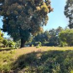 Lotificación el paraíso II, lote 24, pol D