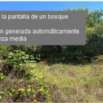 163-B Fotografía