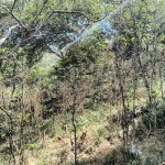 IMG_20250116_134446256_HDR