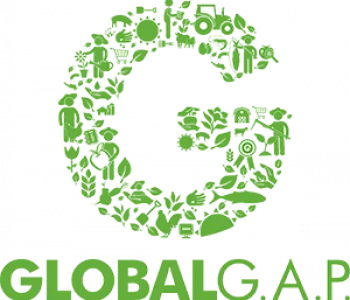global_GAP[1]_0